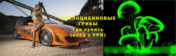молекула духа Медногорск