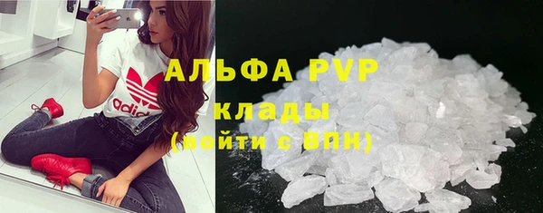 гашик Мегион