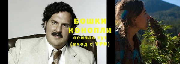 гашик Мегион
