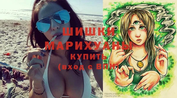 молекула духа Медногорск