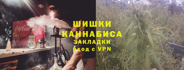 гашик Мегион