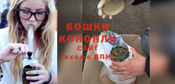 молекула духа Медногорск