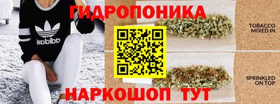 твердый Кинель