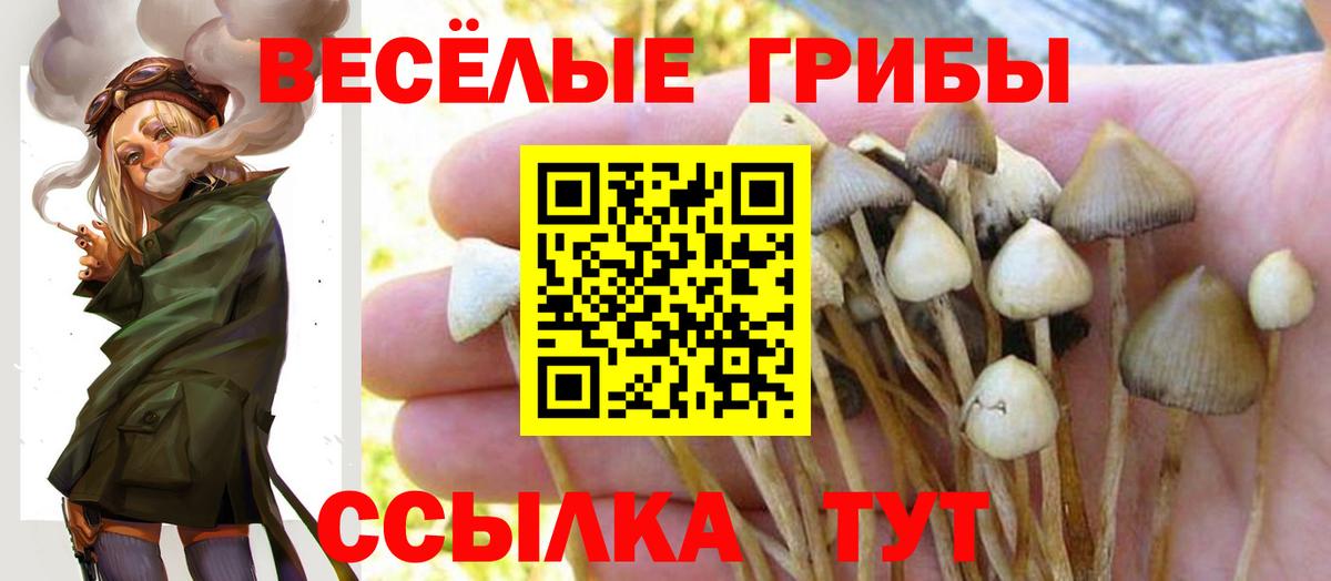 Усть-Илимск  Псилоцибиновые грибы ЛСД  Вход с VPN 